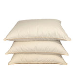 Divpusēja sega un divas spilveni ar zoss dūnu un spalvu pildījumu