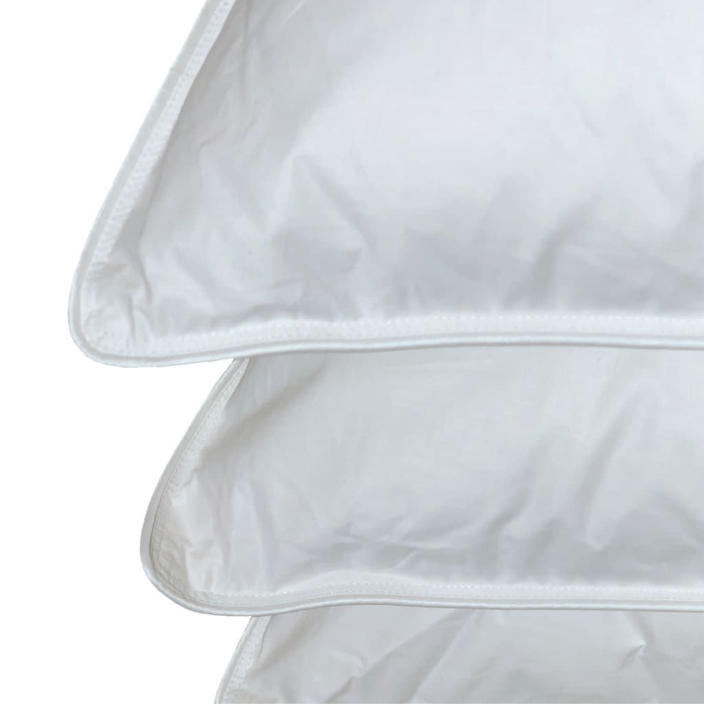 Vienvietīga sega un spilvens ar zoss dūnu un spalvu pildījumu