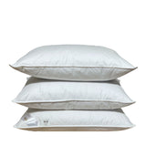 Vienvietīga sega un spilvens ar zoss dūnu un spalvu pildījumu