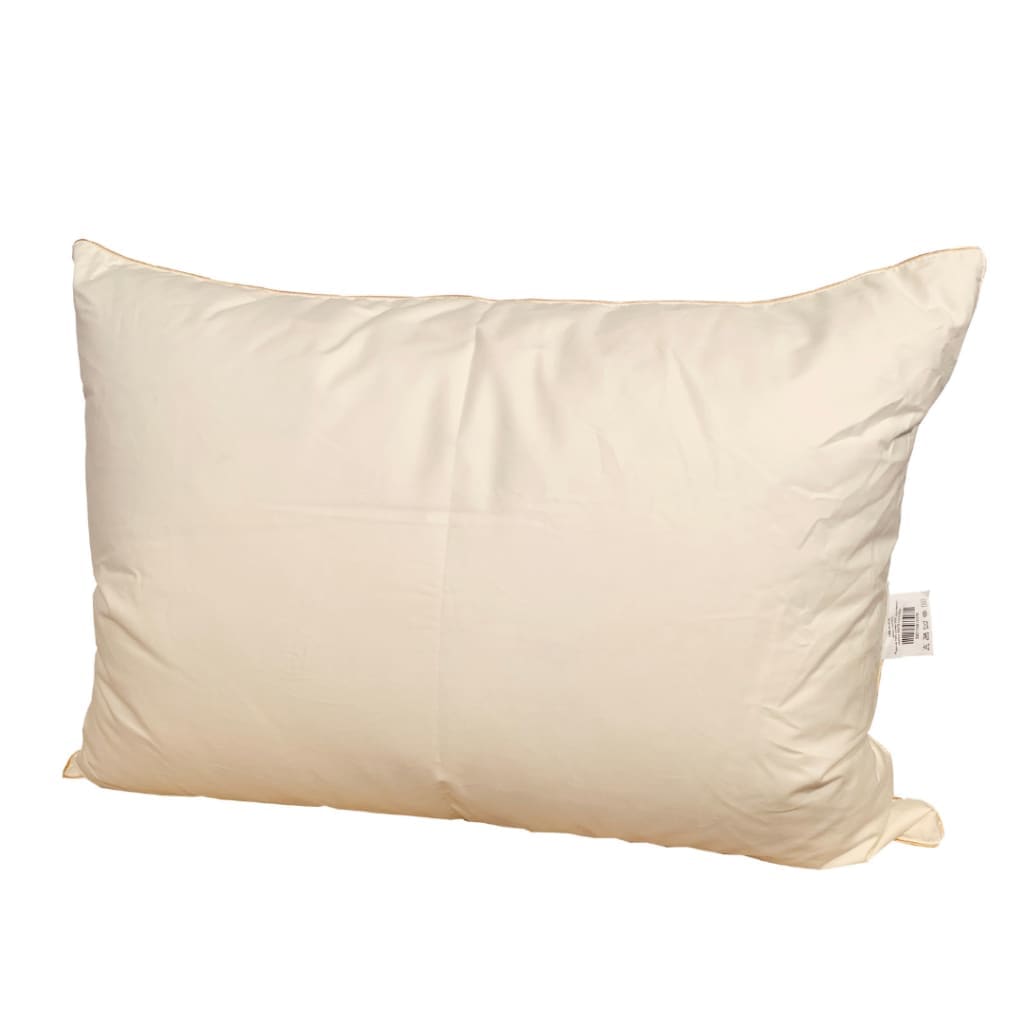 Vienvietīga sega un spilvens ar zoss dūnu un spalvu pildījumu